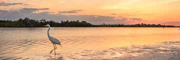Marco Island, Tigertail Beach