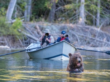 Tweedsmuir Park Lodge wildlife watching, copyright Aaron Baggenstos