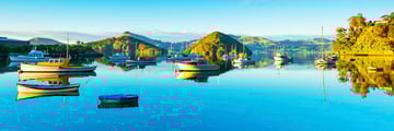 Dunedin - rich in character and coastal beauty