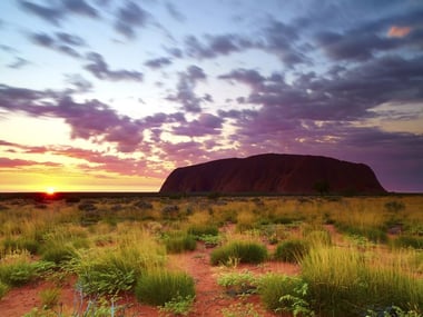 Uluru at Dawn