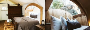 Under Canvas Great Smoky Mountain Stargazer Tent