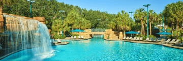 Grotto Pool at Walt Disney World Swan & Dolphin
