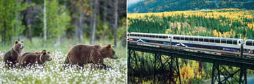 McKinley Explorer Rail and Wildlife Spotting