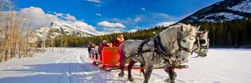 Enjoy a sleigh ride in Banff National Park