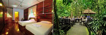 Abai Jungle Lodge room and breakfast