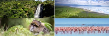 Aberdare & Lake Nakuru landscapes and wildlife