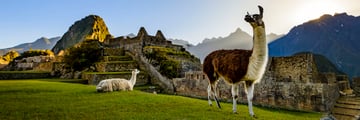 Absolute Peru
