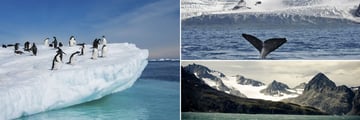 Adelie Penguins, Whale spotting & Antarctic Mountains