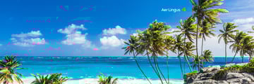 Caribbean beach with Aer Lingus logo