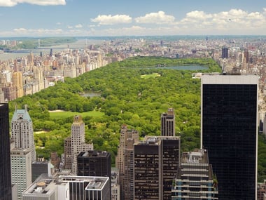 Aerial view of Central Park