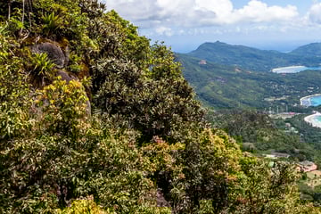 Aerila View of Mahe Seychelles