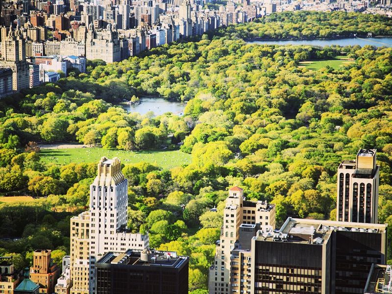 Aerial view of New York's iconic Central Park