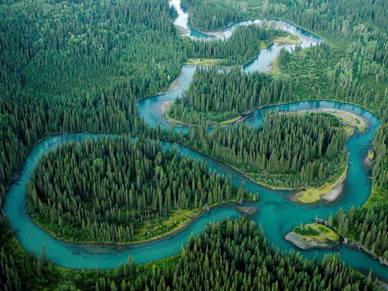 Aerial view of the Iskut River winding through forest