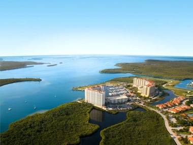 Cape Coral