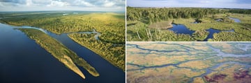 The Everglades National Park in Florida