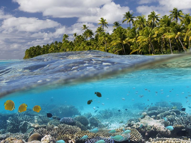 Aitutaki coral reef