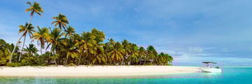 Palm trees on Aitutaki Island