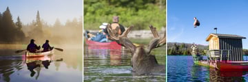 Activities & Wildlife Sightings, Algonquin