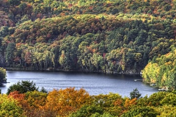 Aerial view of Algonquin Provincial Park