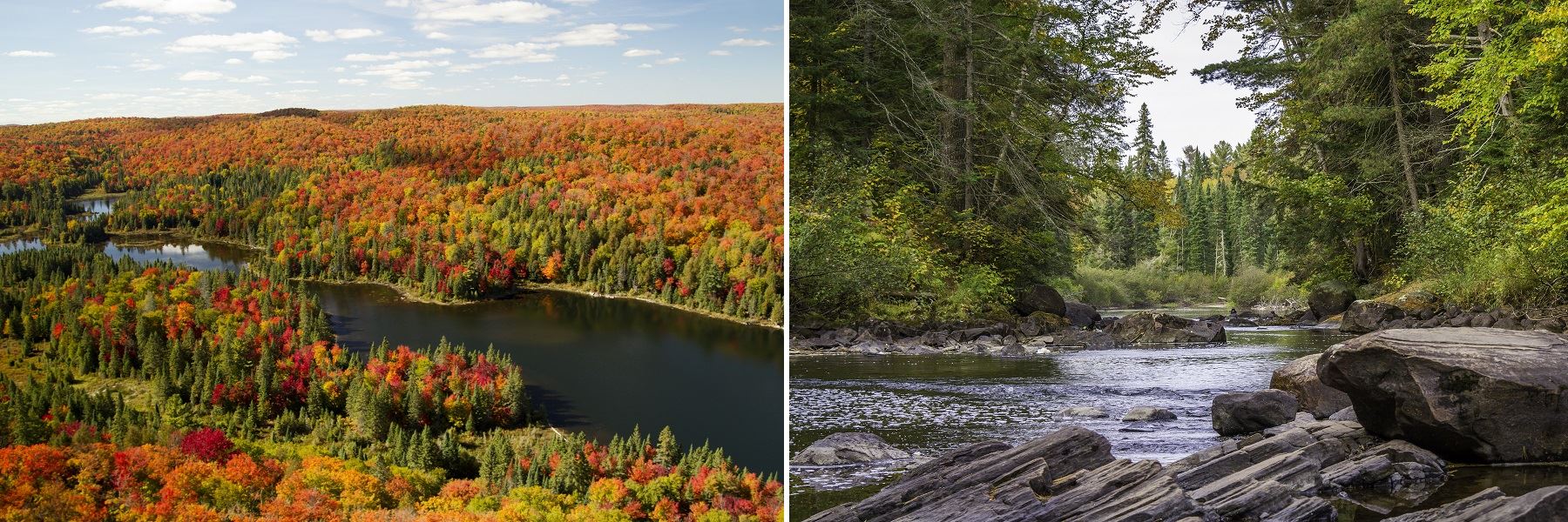 Algonquin Canoe Log Cabin Adventure