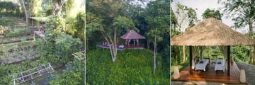 Organic Garden, Bale Bengon and Forest Retreat at Alila Ubud