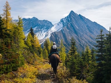 Horse Ride along Allenby Pass
