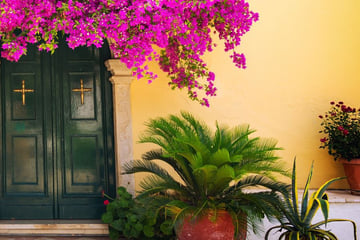 Beautiful streets in Corfu