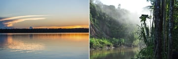 The Amazon & Tambopata River Peruvian