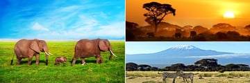 Amboseli National Park