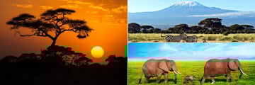 Amboseli National Park