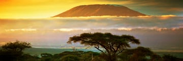 Amboseli National Park savannah