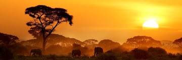 Amboseli National Park at sunset