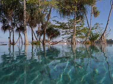The pool at Anantara Kalutara