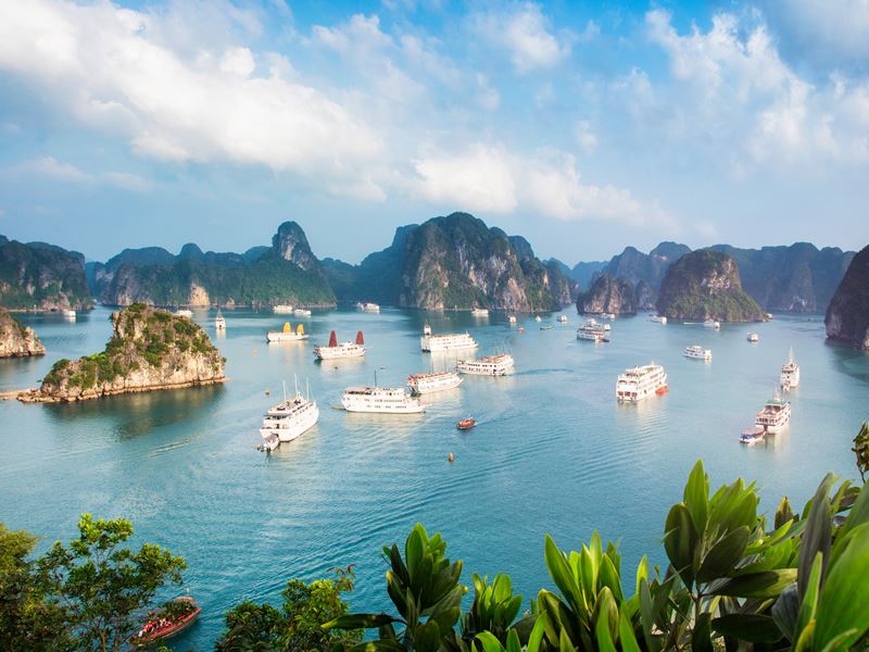 Anchored ships in Halong Bay