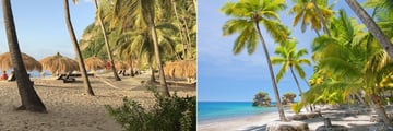 Anse Chastanet, Beach and Jungle Beach Bar & Grill