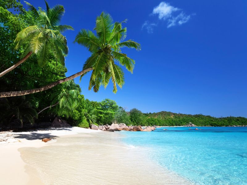 anse lazio beach in praslin, with white sands, palm trees and lapping waves