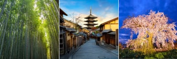 Bamboo grove, Kyoto architecture & Maruyama Park blossoms