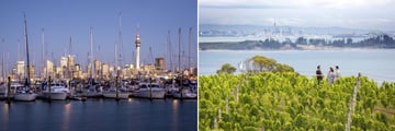 Auckland Harbour & Waiheke Island Vineyard