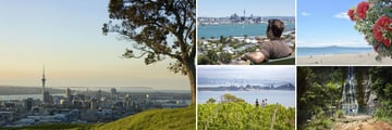 Auckland, North Island