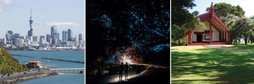Auckland Skyline, Glow Worm Caves & Waitangi Treaty Grounds