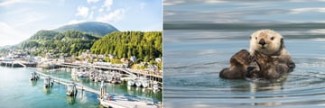 Port in Ketchikan and wildlife in Alaska
