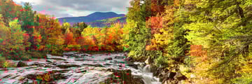 Autumn in the White Mountains