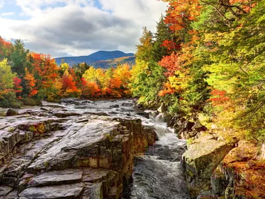 Autumn in the White Mountains