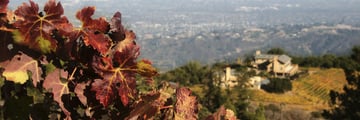 Autumn in Sonoma County