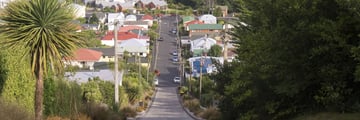 Baldwin Street, the steepest street in the world