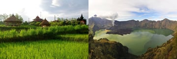 Bali Rice Fields and Ranjani Lombok