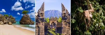 Bali beach, Mount Agung & Macaque Monkey