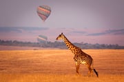 Kenya