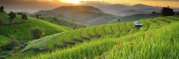 Ban Papongpieng, Chiang Mai rice terrace