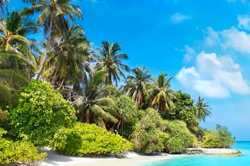 bandos island maldives